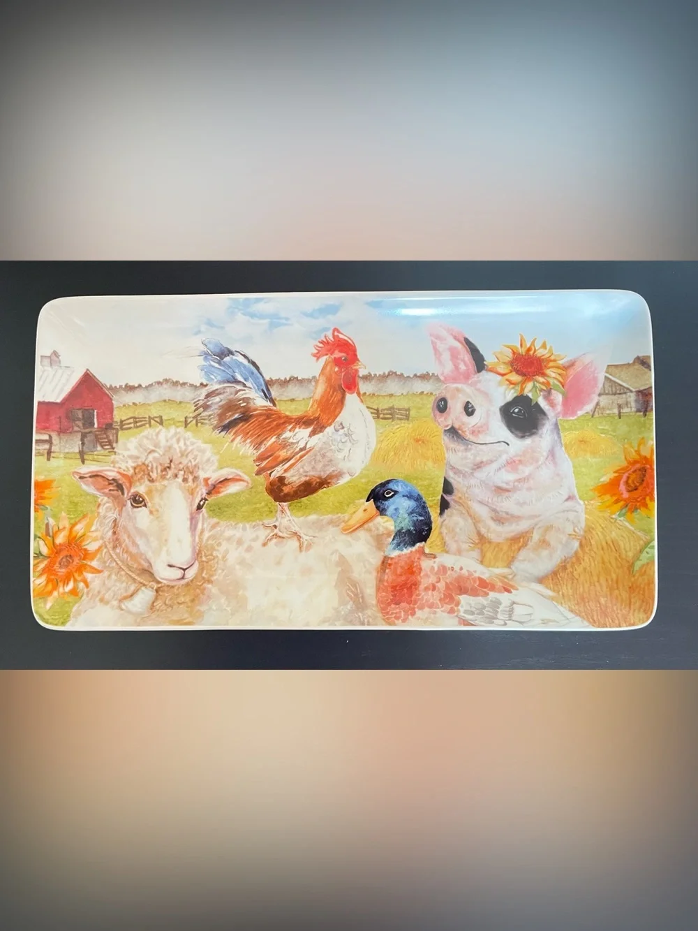 Pier 1 Imports Farm Life Farmhouse Rectangular Stoneware Platter